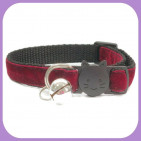Collar-179